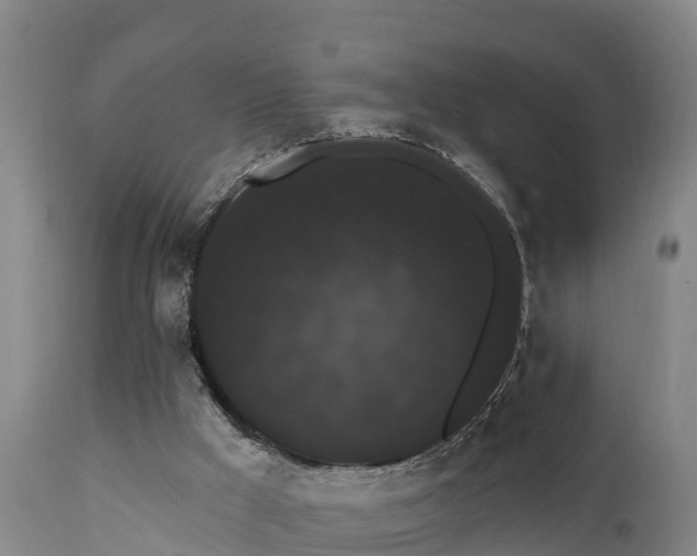 X0000111460009200907201123