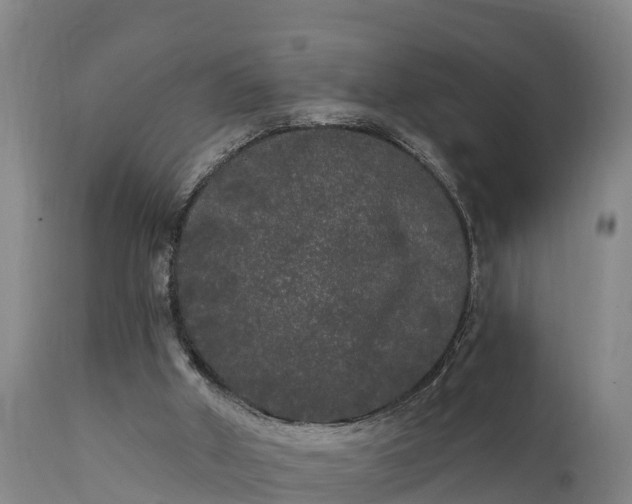 X0000111460010200907201123