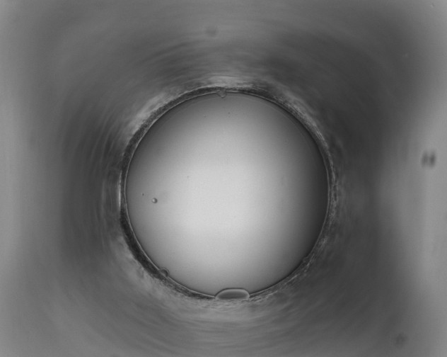 X0000111460011200907201123