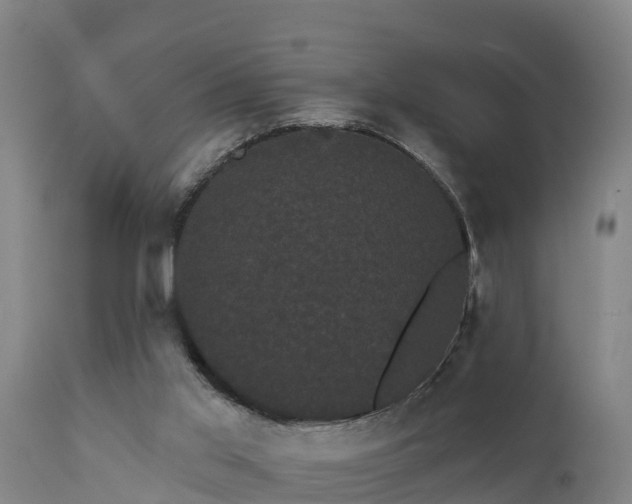 X0000111460013200907201123