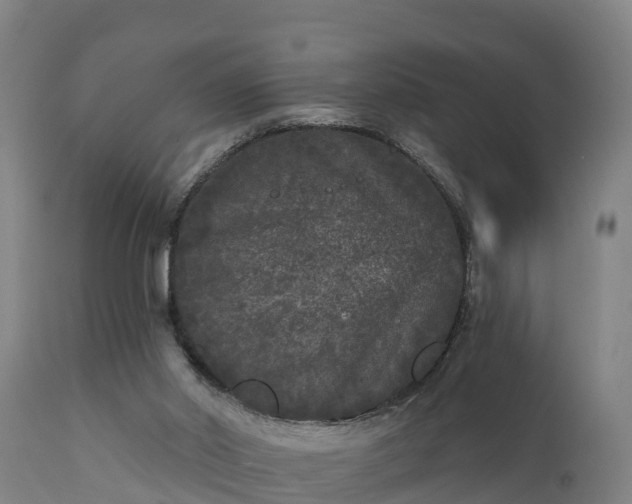 X0000111460014200907201123