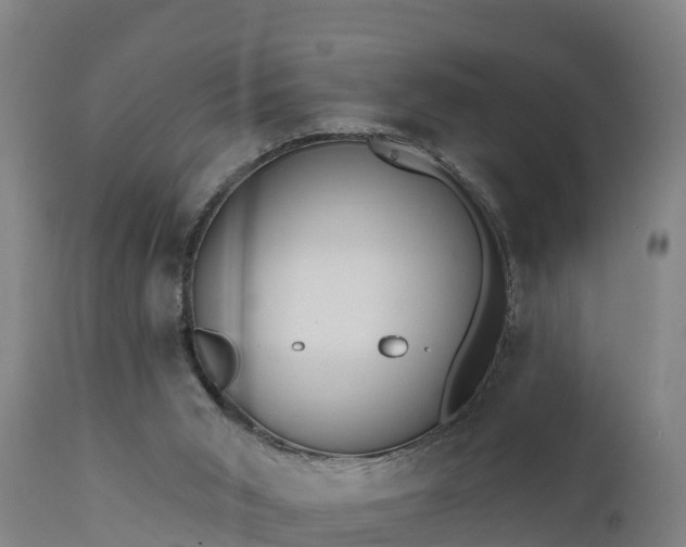 X0000111460015200907201123