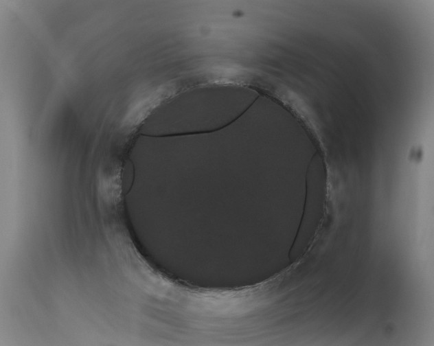 X0000111460017200907201123