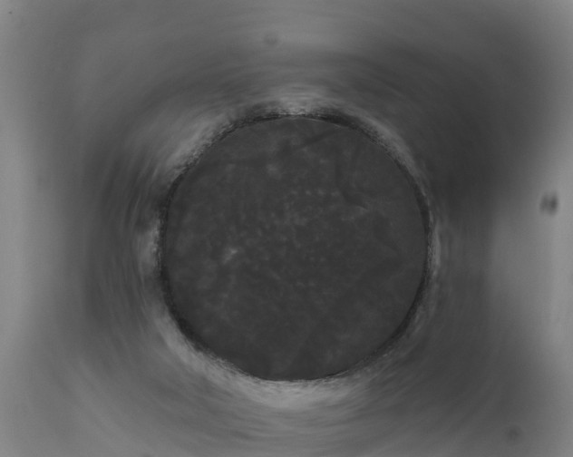 X0000111460018200907201123