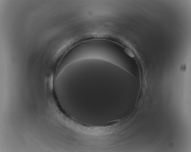 X0000111460019200907201123