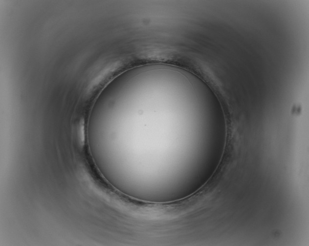 X0000111460020200907201123