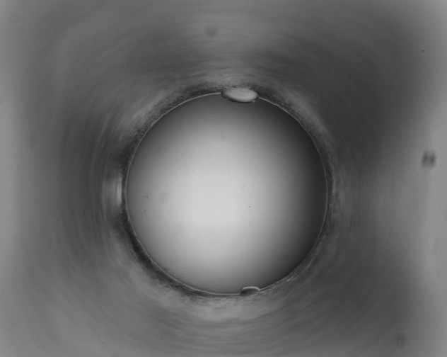 X0000111460021200907201123