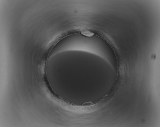 X0000111460023200907201123