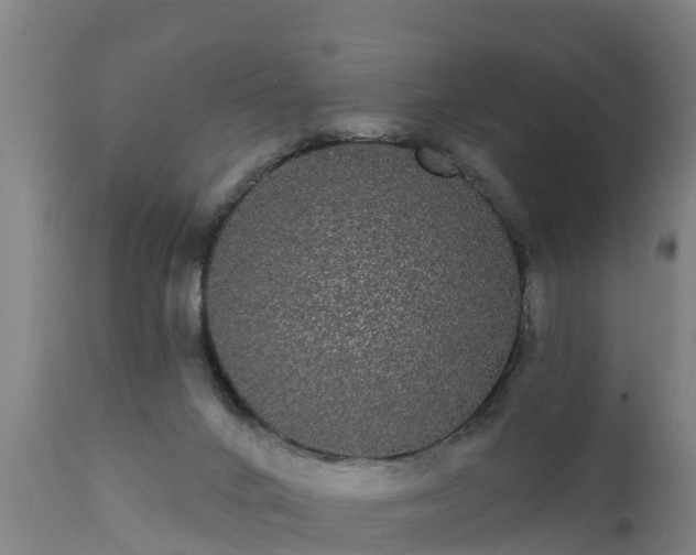 X0000111460024200907201123