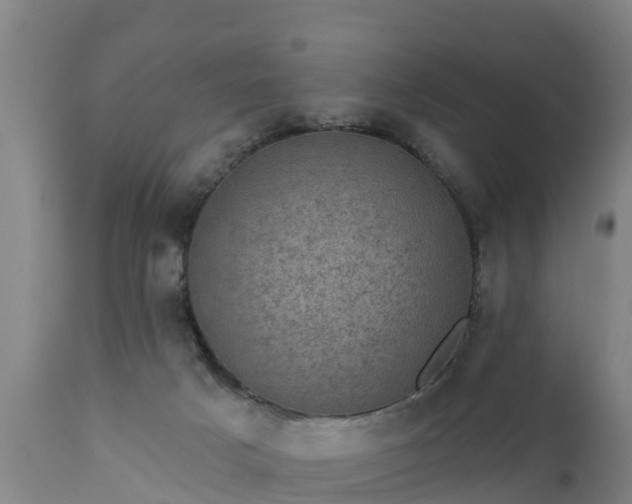 X0000111460025200907201123