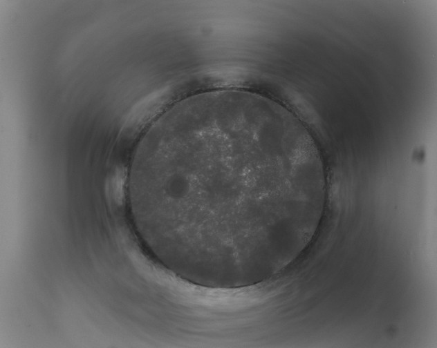 X0000111460026200907201123