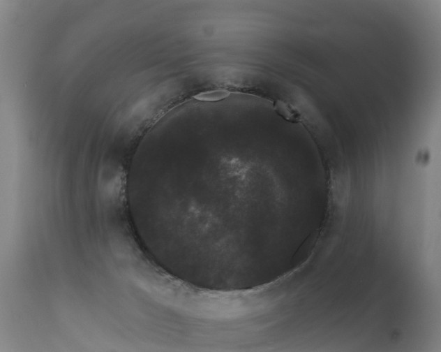 X0000111460029200907201123