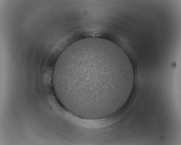 X0000111460030200907201123