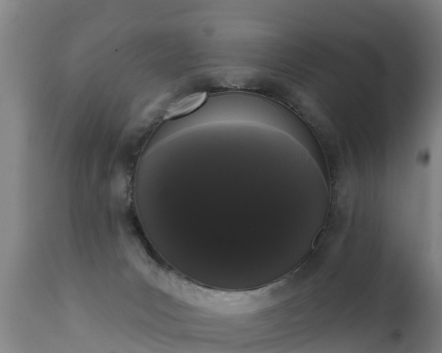 X0000111460031200907201123