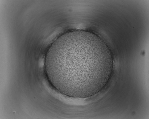 X0000111460032200907201123