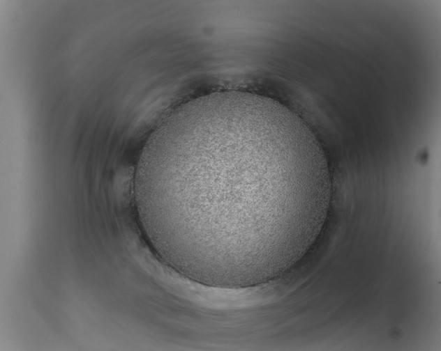 X0000111460034200907201123