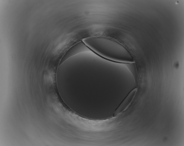 X0000111460035200907201123