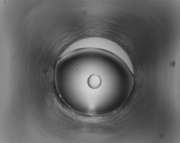 X0000111460036200907201123