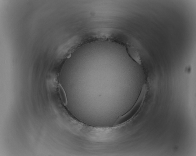 X0000111460037200907201123