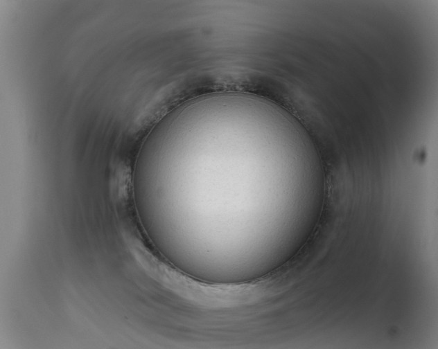 X0000111460038200907201123