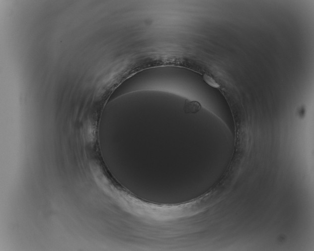 X0000111460039200907201123