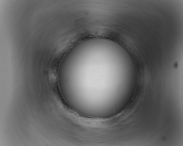 X0000111460040200907201123