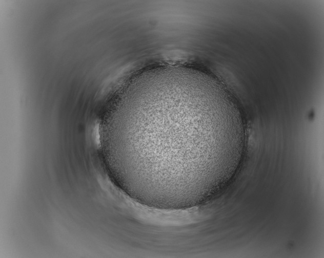 X0000111460042200907201123