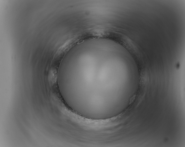 X0000111460043200907201123