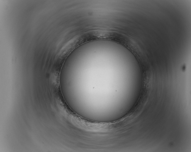 X0000111460044200907201123