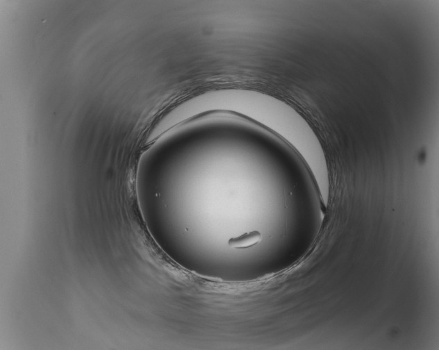 X0000111460045200907201123