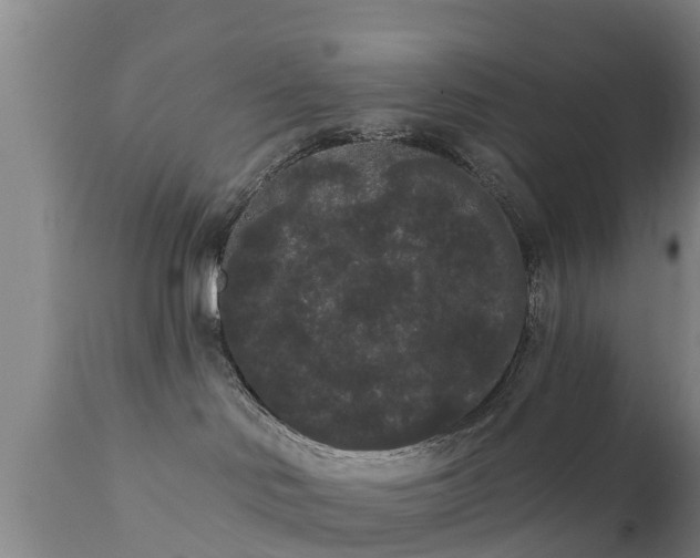 X0000111460046200907201123