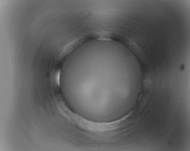 X0000111460047200907201123