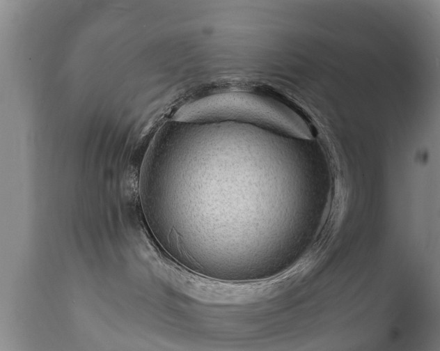 X0000111460048200907201123