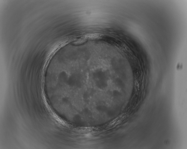 X0000111460049200907201122