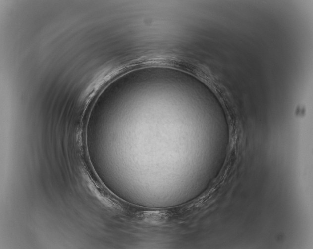 X0000111460050200907201122