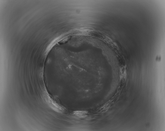 X0000111460051200907201122