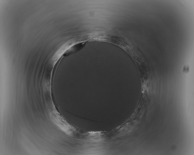 X0000111460052200907201122