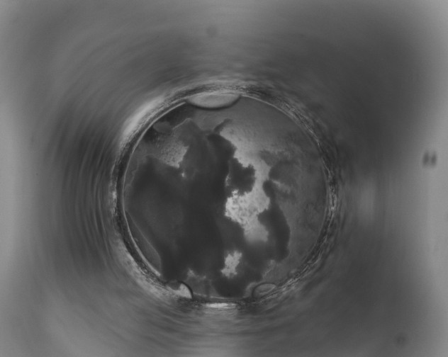 X0000111460053200907201122