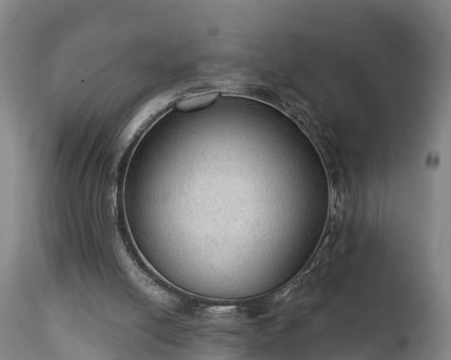 X0000111460054200907201122