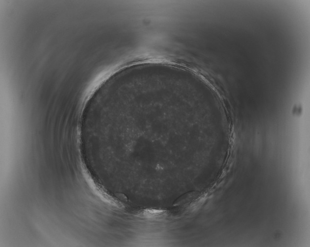 X0000111460055200907201122