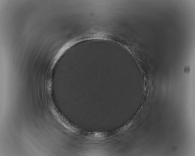 X0000111460056200907201122