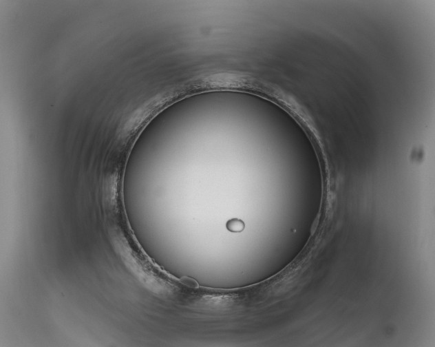 X0000111460057200907201122