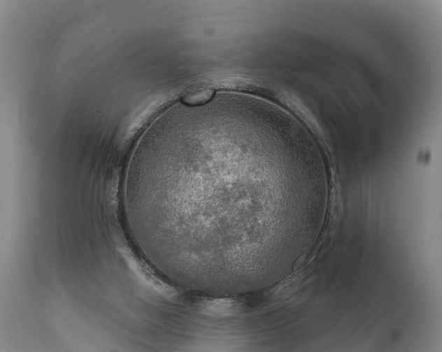 X0000111460058200907201122