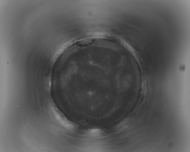 X0000111460059200907201122