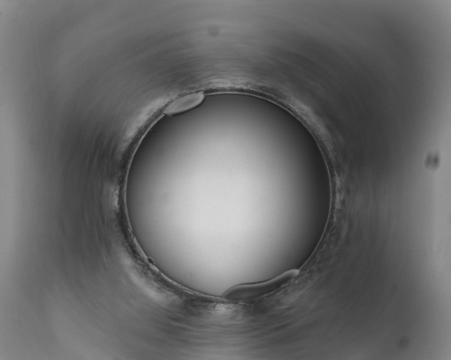 X0000111460060200907201122