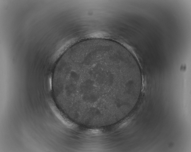 X0000111460061200907201122