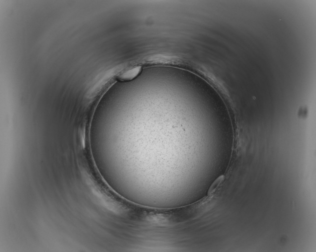 X0000111460062200907201122