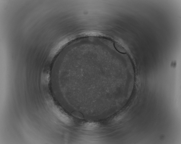 X0000111460063200907201122