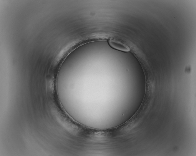 X0000111460064200907201122