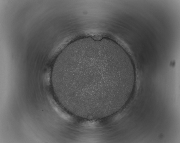 X0000111460065200907201122